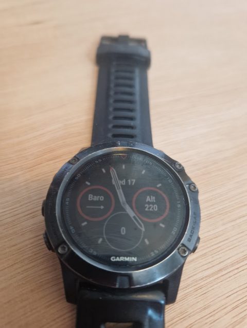 Garmin Fenix 5 Running Watch